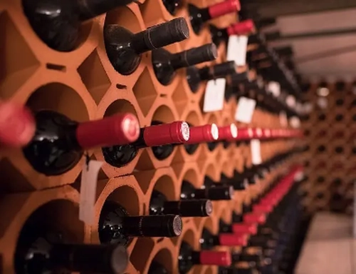Olive Oil and Wine Tasting