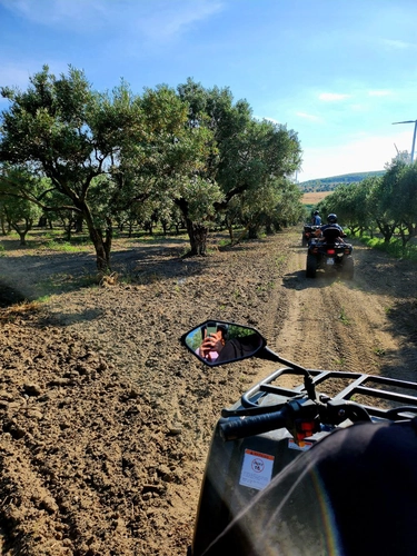 Quad excursion with aperitif
