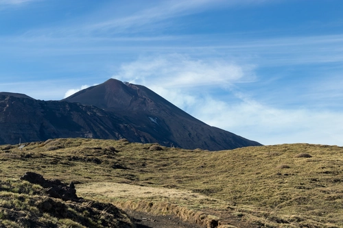 Etna: Trekking to the Valley of the Bove and along the Donkey's Back!