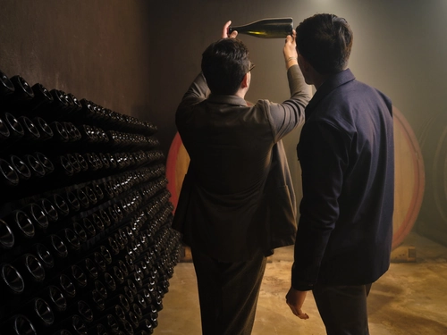 CONTEMPORARY SICILIAN WINES