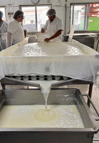 Private Cheese, Wine & Tiles: A Hands-On Lisbon Experience