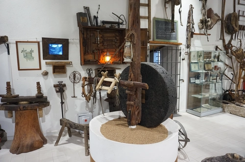 - CLASSIC - OLIVE OIL CLASS WITH GUIDED TOUR OF THE MUSEUM AND MODERN OIL MILL WITH PRODUCT TASTING